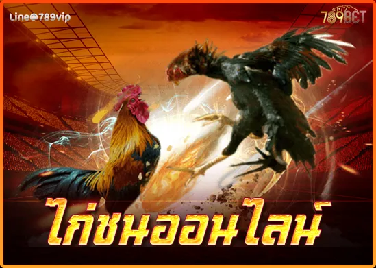 ไก่ชนออนไลน์